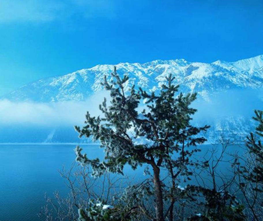 Gaestehaus Alpina Maurach  Luaran gambar